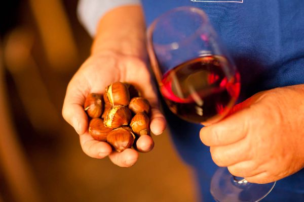Genießen Sie italienische und traditionelle Südtiroler Küche